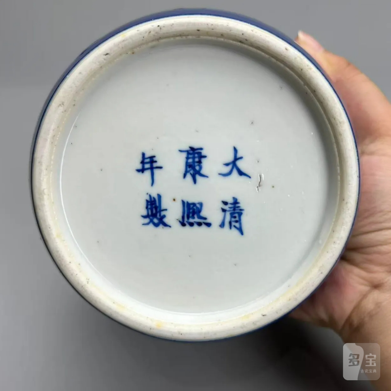 清中期 霁蓝釉留白鱼纹盖罐 - 图8